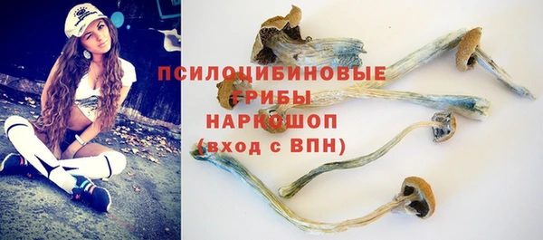 герыч Арсеньев